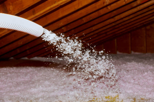 Best Energy Efficiency Insulation in Schaumburg, IL