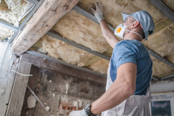 Best Spray Foam Insulation in Schaumburg, IL