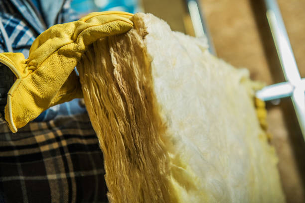 Best Residential Insulation in Schaumburg, IL